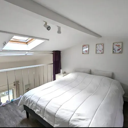 Duplex Calme Proche Plages - Fr-1-433-155 Apartment